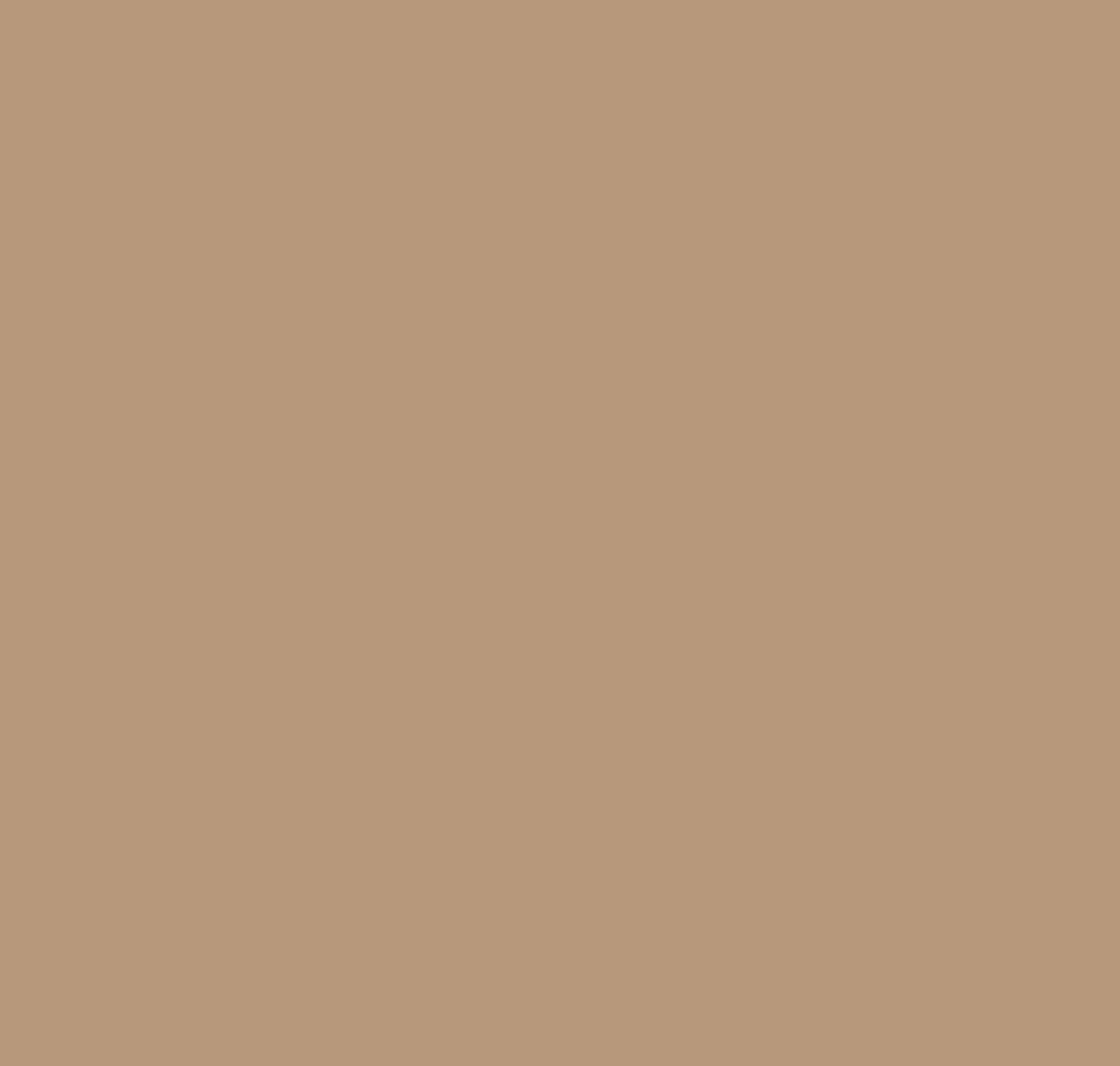 Sherwin-Williams: Canoe 819182 | Material Bank
