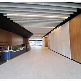Autex Raft Beam Autex Acoustics: Raft Beam 250 Pinnacle 1213438 | Material Bank