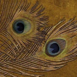Peacock (Smooth Silver Vinyl)