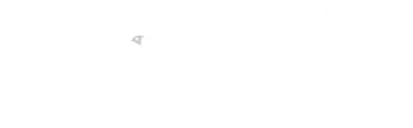 Saiens logo